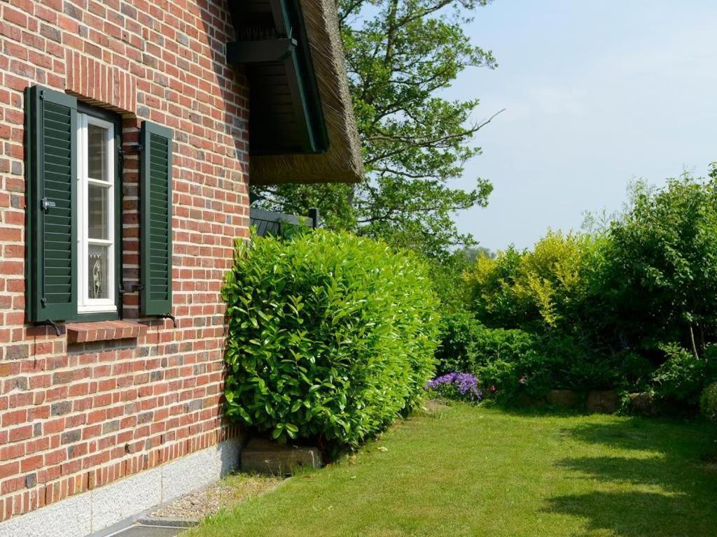 Wildrose Ferienhaus Boltenhagen  Esterno foto